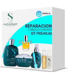 Alfaparf Reparative Semi Di Lino Kit Premium